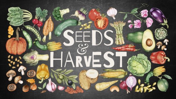 Seeds and Harvest